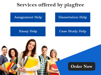 Expert Assignment Help by PlagFree