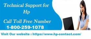 Contact US - Help & Support