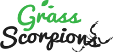 Landscaping Services Brighton | Grass Scorpion