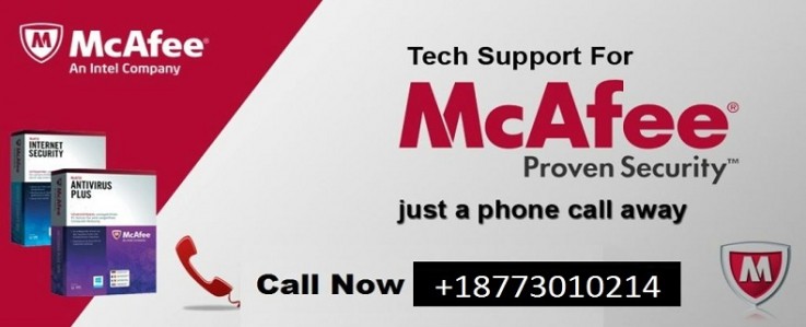 Get Activation Help At +18773010214 And Mcafee Tech Support