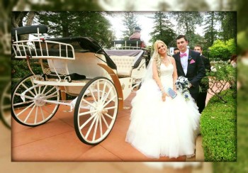 Hire Professionally Skilled Sydney&rsquo;s Best Celebrant for Weddings - Orna Binder in Sandy Beach