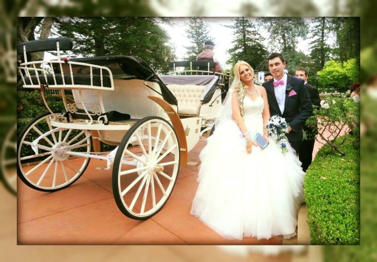 Hire Professionally Skilled Sydney’s Best Celebrant for Weddings - Orna Binder in Sandy Beach