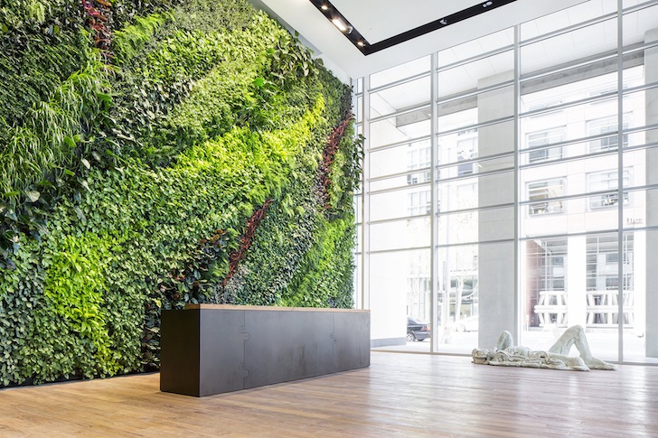 Indoor Green Wall | Designer Vertical