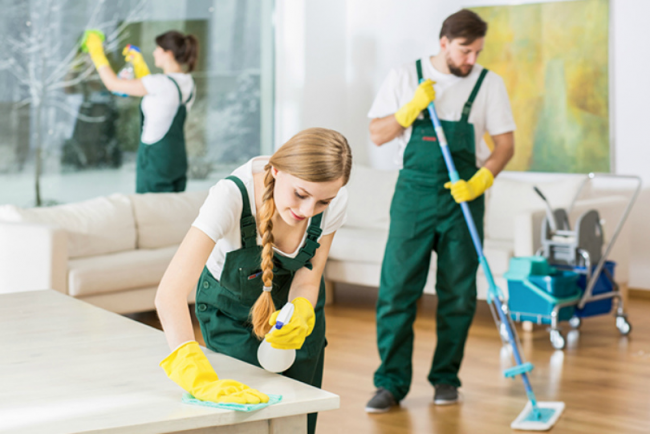 Professional Carpet Cleaning Sunshine Coast