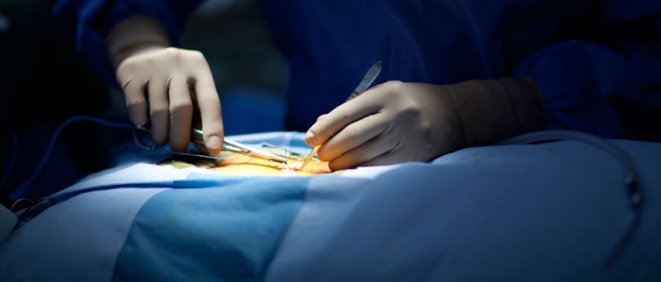 Affordable and Reliable Vascular Neurosurgery in Melbourne
