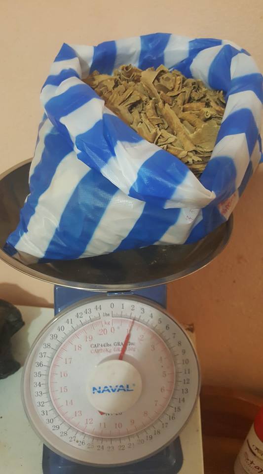 Ibogaine Hcl Iboga Ta Iboga Capsules And