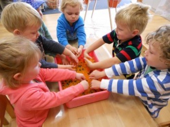 Discovery Early Learning Centres