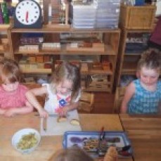 Piccolos Accelerated Early Learning
