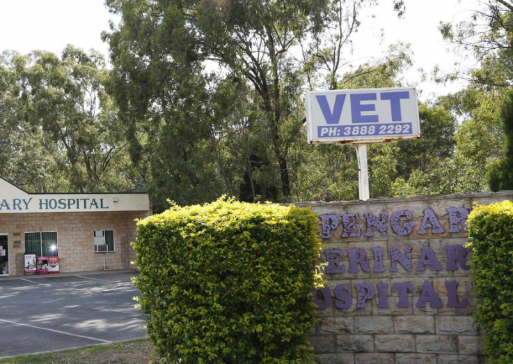 Burpengary Veterinary Hospital