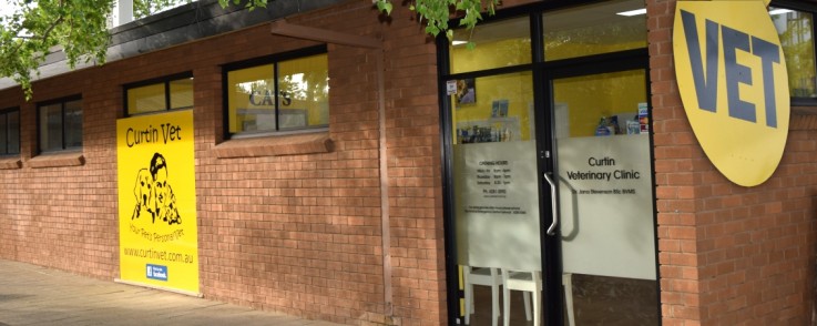 Curtin Veterinary Clinic 