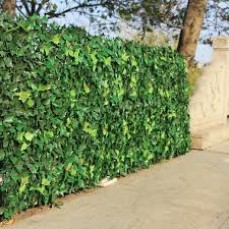Buy Artificial Ivy Wall