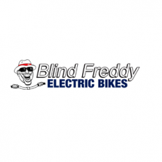 Buy Online Gomier Electric Tricycle