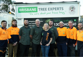 Stump Grinding Services in Brisbane