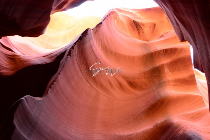 Best Freelance Photographer Australia Online - Gary White Photography