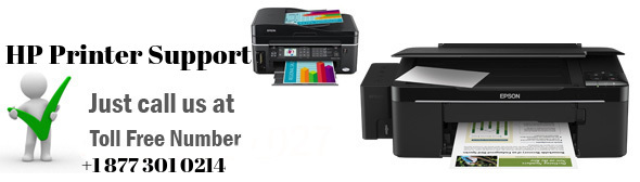 Are you looking for HP Printer Support Service 