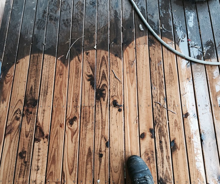 Best Mould removal Services in Australia