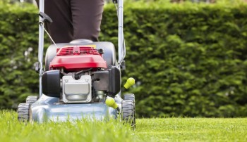 Lawn Mowing Services in Wollongong