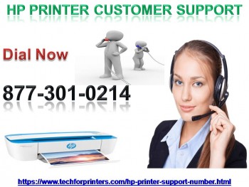 Hp Printer Customer Support 