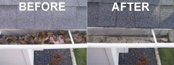 Gutter Cleaning