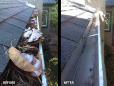 Gutter Cleaning