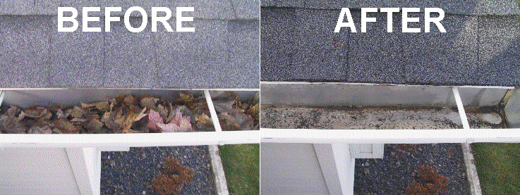 Gutter Cleaning