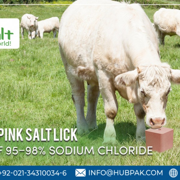 Animal lick salt | Hub Salt