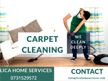 Professional Carpet Steam Cleaning Starts Just $50. 