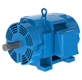 General Purpose Electric Motors