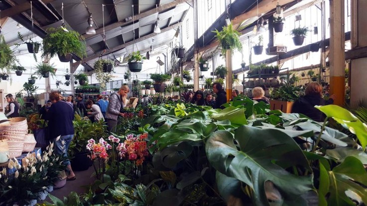 Adelaide - Huge Indoor Plant Warehouse S