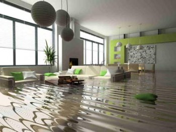 Get professional Water Damage Restoration in Hawthorn
