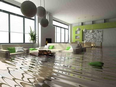 Get professional Water Damage Restoration in Hawthorn