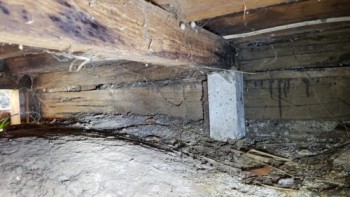 Professional Building and Pest Inspection Craigieburn