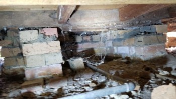 Professional Building and Pest Inspection Craigieburn
