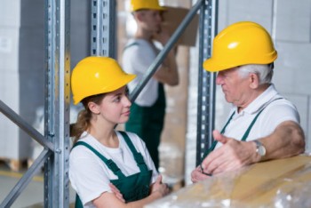 Professional Building and Pest Inspection Craigieburn