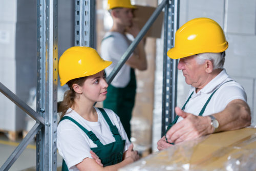 Professional Building and Pest Inspection Craigieburn