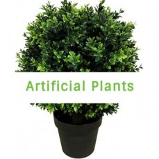 Artificial Indoor and Outdoor Plants 