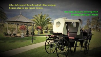 Memorable Hunter Valley Weddings in NSW