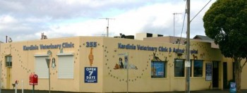 Kardinia Veterinary Clinic & Animal Hospital