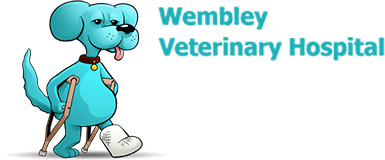 Wembley Veterinary Hospital