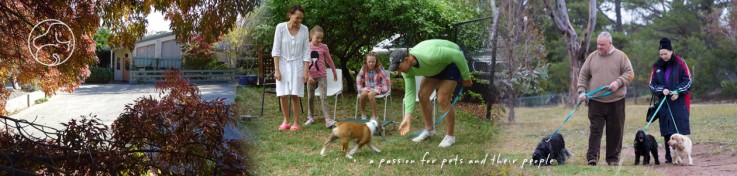 Hall Veterinary Surgery Pty Ltd