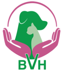 Burpengary Vet 