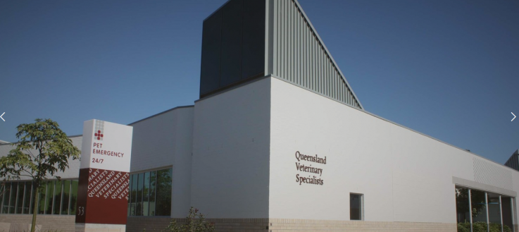 Queensland Veterinary Specialists