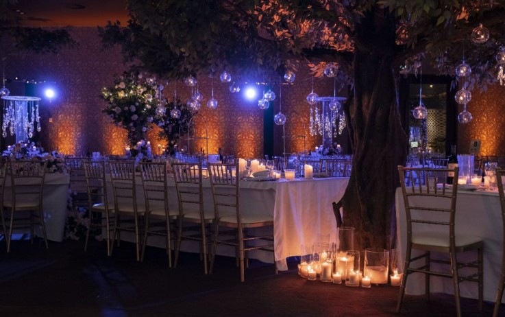 Feel the Difference with Clarence House Wedding Venue - $120 Per Head