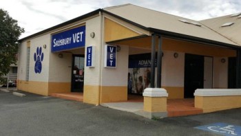 Salisbury Veterinary Surgery