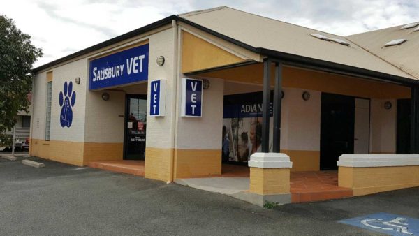 Salisbury Veterinary Surgery