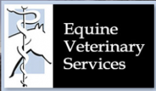 Equine Veterinary Services
