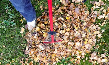 Best Cleaning Services in Melbourne | HOME HELP AUSTRALIA