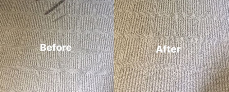 Fast carpet drying service