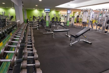 Move Fitness