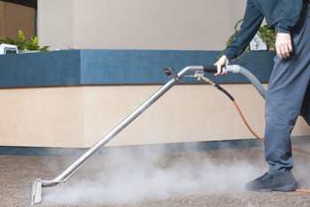 Carpet Steam Cleaning